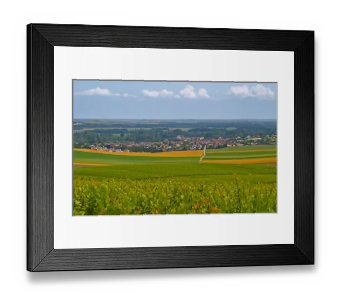 Framed Print : Vineyards of Chouilly at the experimental vineyard of the CIVC at Plumecoq in the Cote des Blancs Framed Print : Vineyards of Chouilly at the experimental vineyard of the CIVC at Plumecoq in the Cote des Blancs
