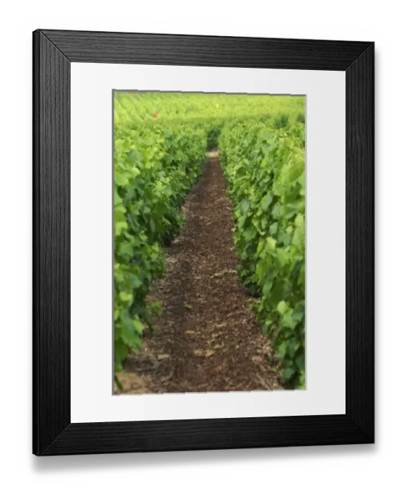Framed Print : Europe, France Framed Print : Europe, France