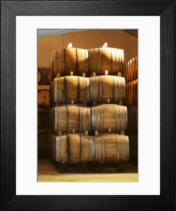 Framed Print : Oak barrels with fermenting wine. Giraud is specialised in oak aging champagne. Champagne Framed Print : Oak barrels with fermenting wine. Giraud is specialised in oak aging champagne. Champagne