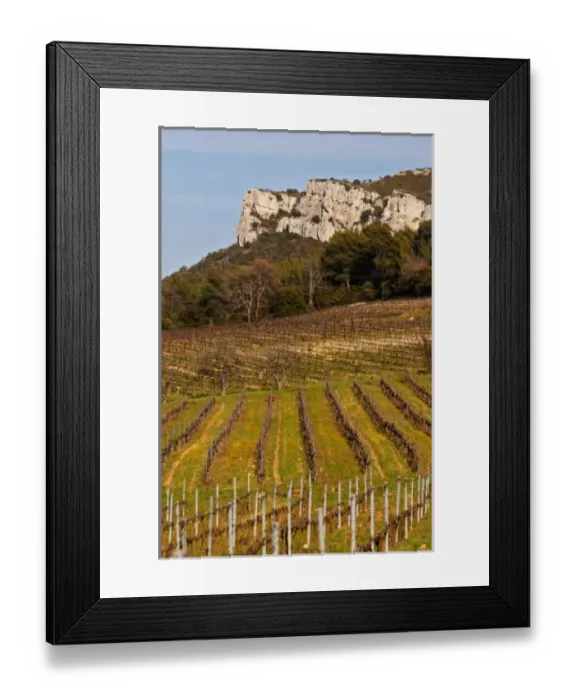 Framed Print : Graphic pattern vineyard and mountain cliff Choteau Barbanau and Clos Val-Bruyere