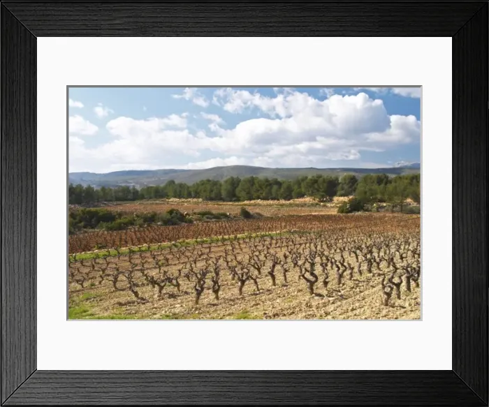 Framed Print : Europe, France Framed Print : Europe, France