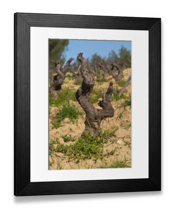 Framed Print : Europe, France Framed Print : Europe, France