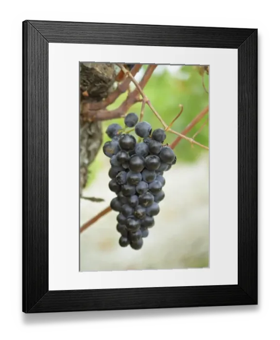 Framed Print : Europe, France