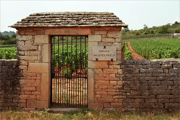 Le Grand Montrachet, Domaine Jacques Prieur, Duverget, Taboureau. An iron gate and stone wall