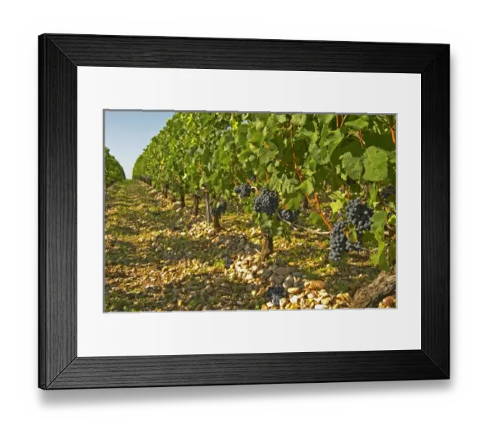 Framed Print : Europe, France