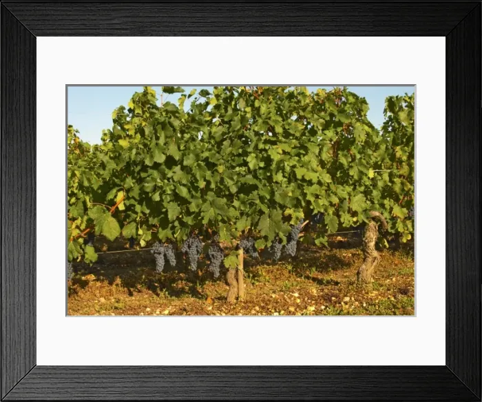 Framed Print : Europe, France Framed Print : Europe, France
