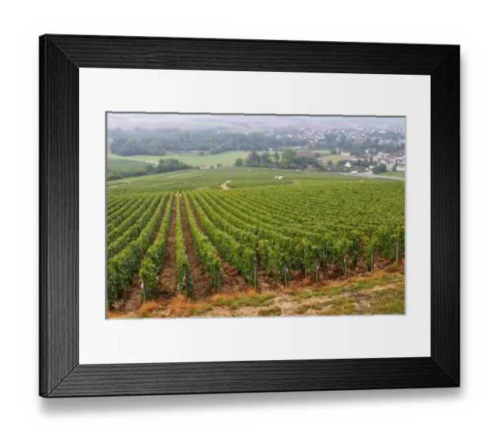 Framed Print : The village Chablis, Bourgogne, and the Les Clos grand cru vineyard seen from top of the hill Framed Print : The village Chablis, Bourgogne, and the Les Clos grand cru vineyard seen from top of the hill