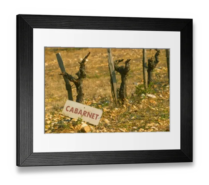 Framed Print : Europe, France