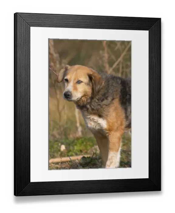 Framed Print : Europe, France Framed Print : Europe, France