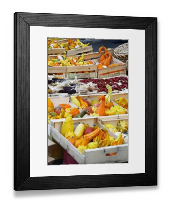 Framed Print : Europe, France