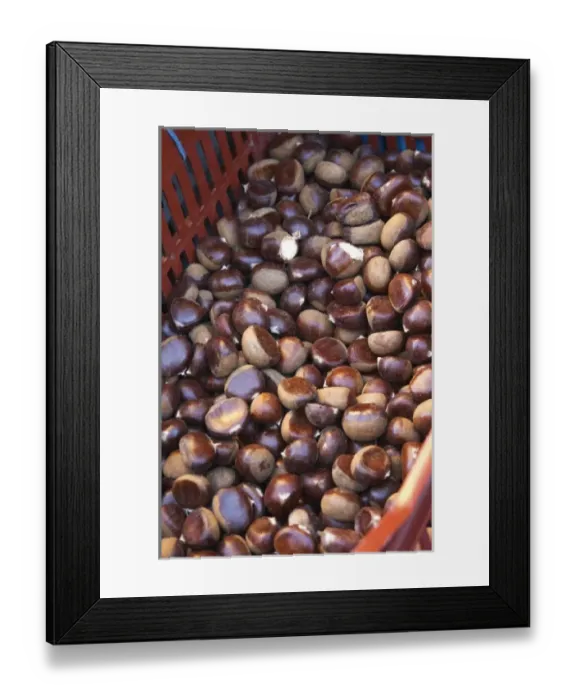 Framed Print : Chestnuts for sale at a market stall at the market in Bergerac in a red and grey plastic basket