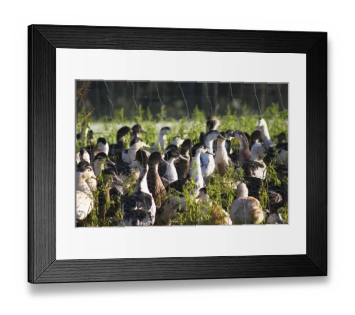 Framed Print : Europe, France