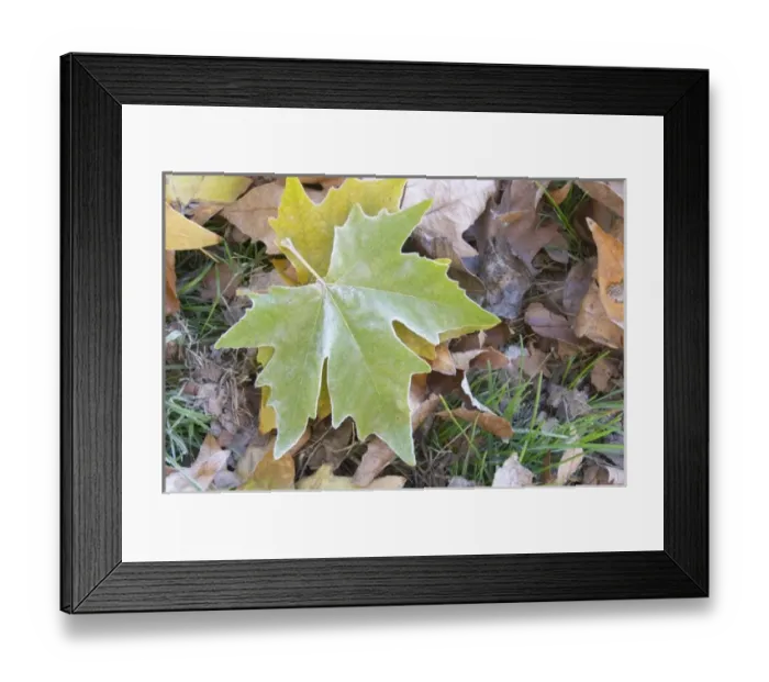 Framed Print : Europe, France Framed Print : Europe, France