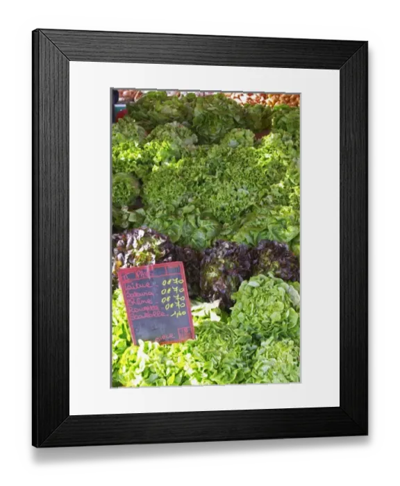 Framed Print : Europe, France