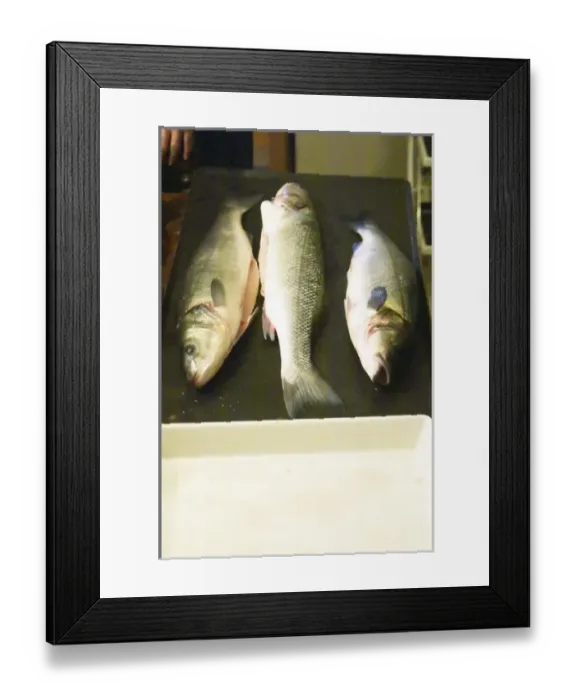Framed Print : How to prepare fish baked in the oven in salt crust, Clos des Iles Le Brusc, Six Fours Framed Print : How to prepare fish baked in the oven in salt crust, Clos des Iles Le Brusc, Six Fours