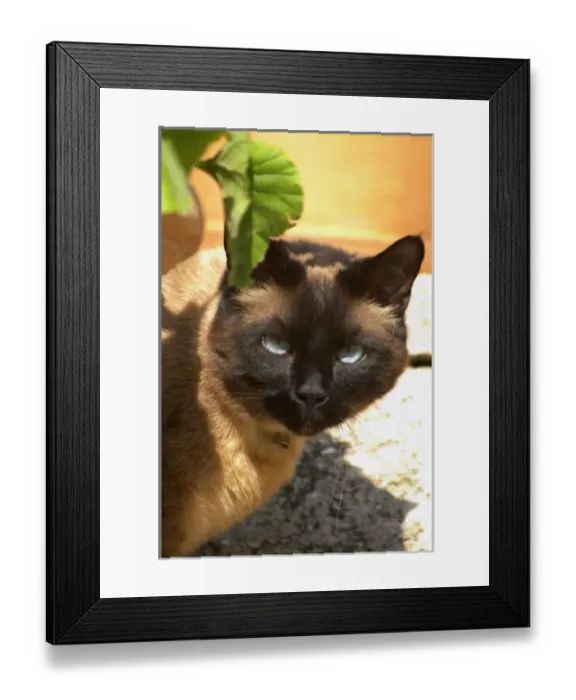 Framed Print : Europe, France Framed Print : Europe, France
