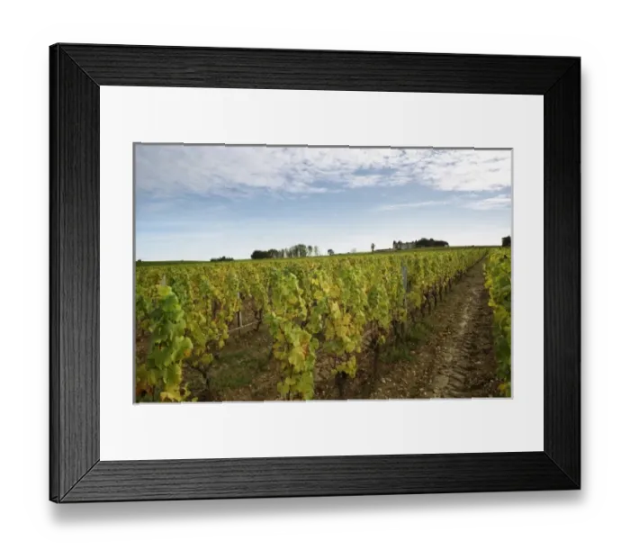 Framed Print : Europe, France Framed Print : Europe, France