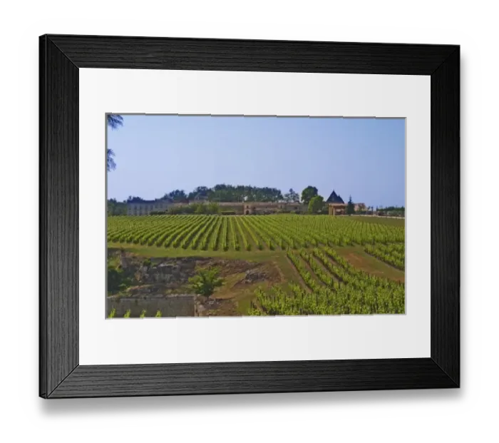 Framed Print : Unknown chateau and vineyard in Saint Emilion Bordeaux Gironde Aquitaine France Framed Print : Unknown chateau and vineyard in Saint Emilion Bordeaux Gironde Aquitaine France