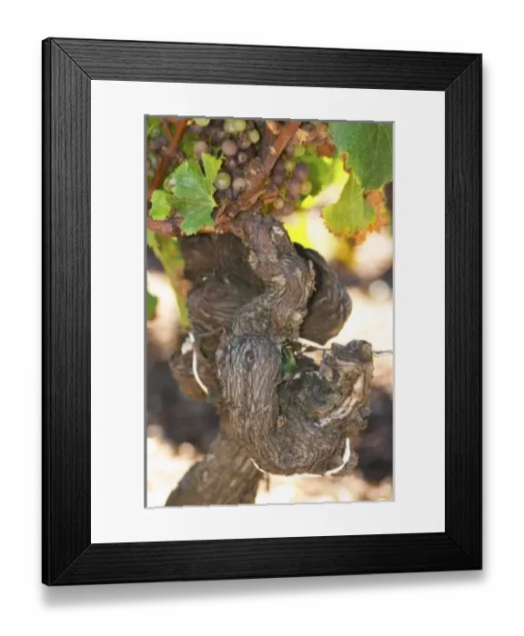 Framed Print : Europe, France Framed Print : Europe, France