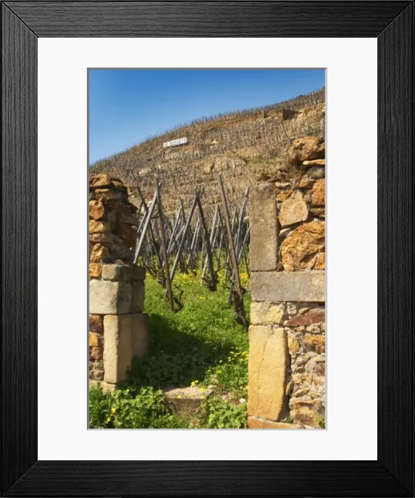 Framed Print : Europe, France