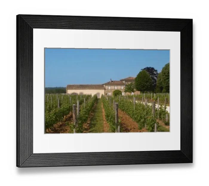 Framed Print : A view over the vineyard, building and winery, Chateau Valandraud Saint Emilion Bordeaux