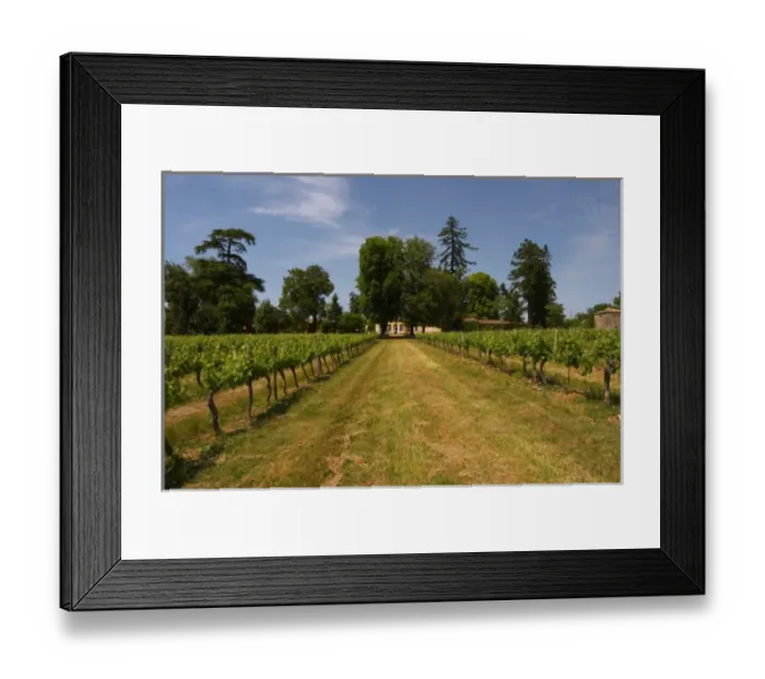 Framed Print : A view over the vineyard and the main chateau building in the distance Chateau de Framed Print : A view over the vineyard and the main chateau building in the distance Chateau de