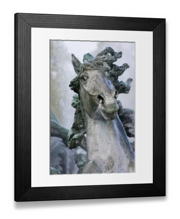 Framed Print : A horses head at the Monument aux Girondins sculpture and fountain on the Esplanade Framed Print : A horses head at the Monument aux Girondins sculpture and fountain on the Esplanade