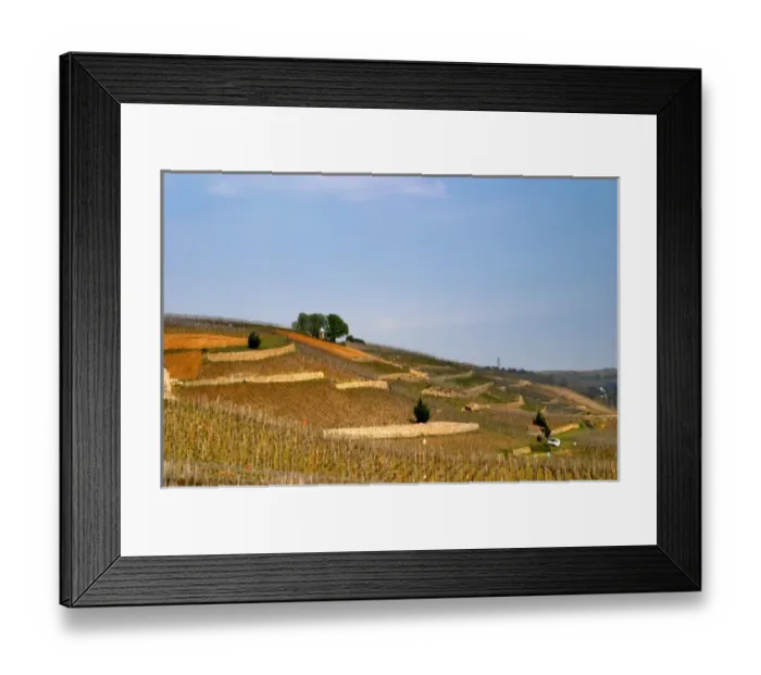 Framed Print : A view east over the terraced vineyards Les Rocules and Les Murets. The Hermitage