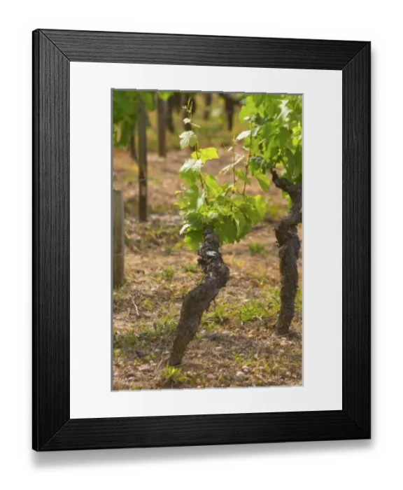 Framed Print : Europe, France Framed Print : Europe, France
