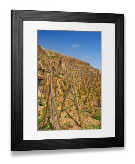 Framed Print : Europe, France Framed Print : Europe, France