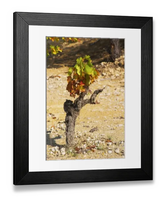 Framed Print : Europe, France Framed Print : Europe, France