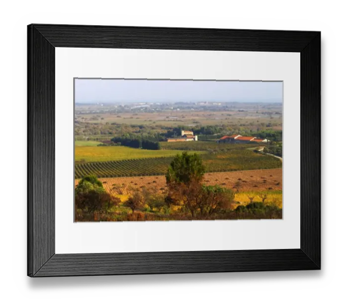 Framed Print : Chateau Mire l Etang. La Clape. Languedoc. France. Europe. Vineyard. The winery building