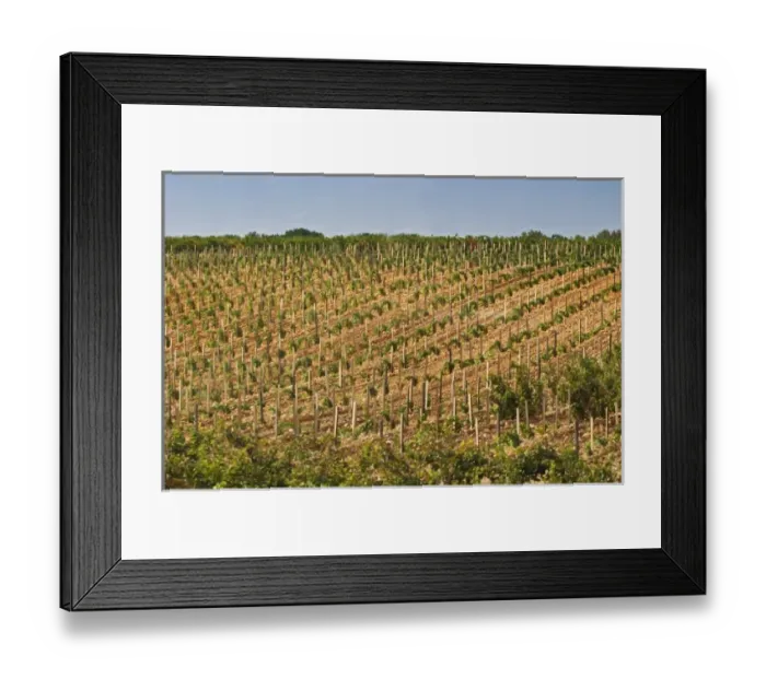 Framed Print : Europe, France