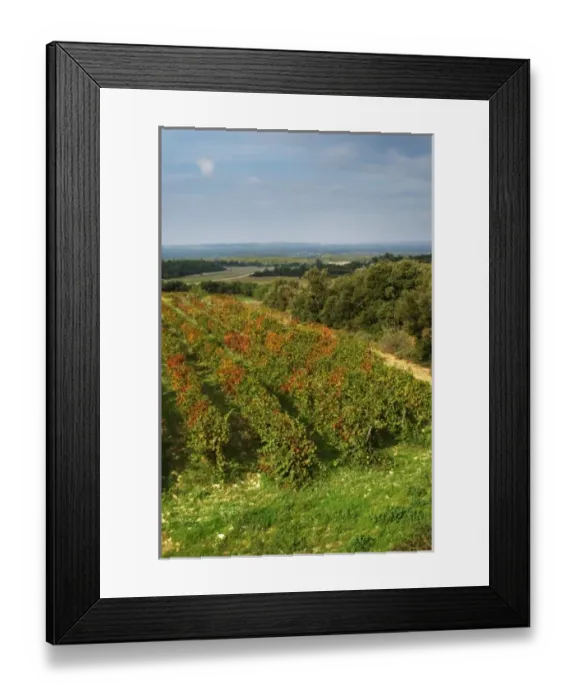 Framed Print : Europe, France Framed Print : Europe, France