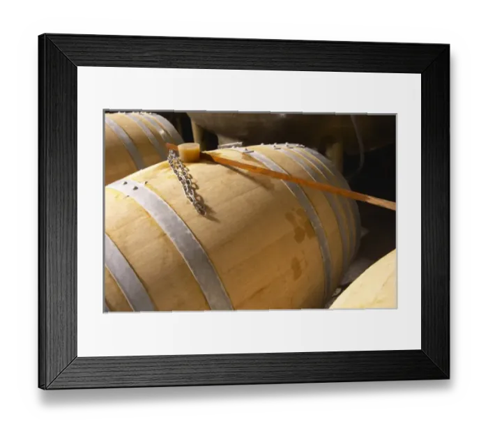 Framed Print : Domaine de Terre Megere, Cournonsec, Montpellier. Gres de Montpellier. Languedoc Framed Print : Domaine de Terre Megere, Cournonsec, Montpellier. Gres de Montpellier. Languedoc