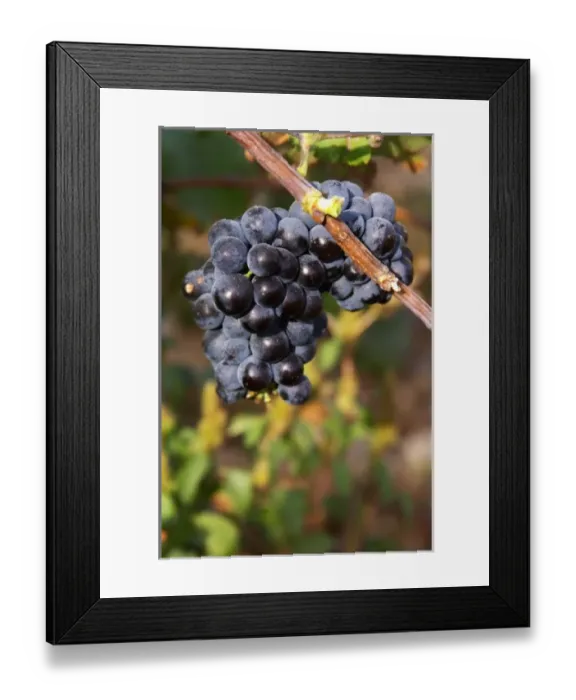 Framed Print : Europe, France Framed Print : Europe, France