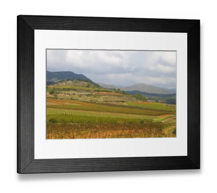 Framed Print : St Chinian. Languedoc. France. Europe. Vineyard with mountains in the background Framed Print : St Chinian. Languedoc. France. Europe. Vineyard with mountains in the background