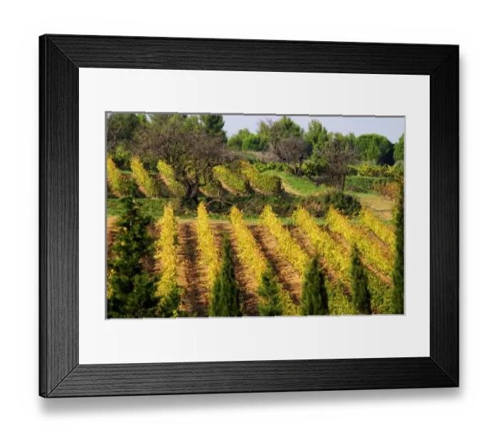 Framed Print : Europe, France