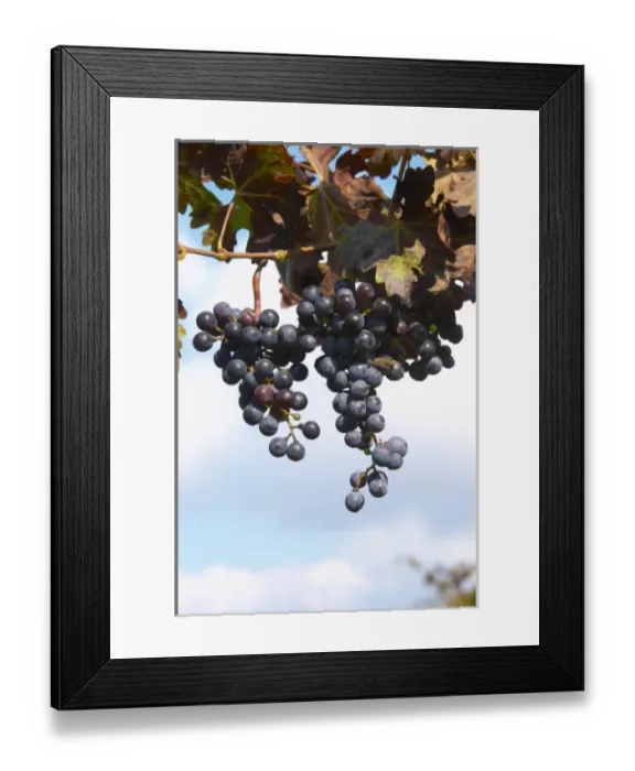 Framed Print : Europe, France Framed Print : Europe, France