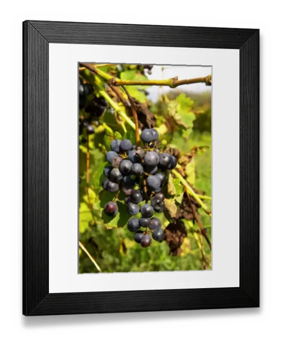Framed Print : Europe, France
