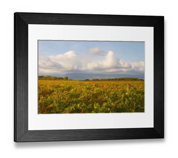 Framed Print : Chateau St Jean d Aumieres, Gignac village. Terrasses de Larzac. Languedoc. France
