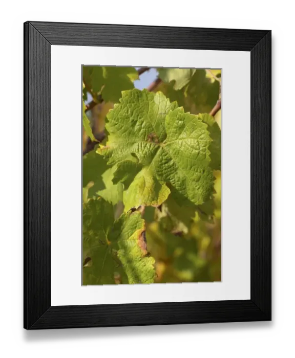 Framed Print : Europe, France Framed Print : Europe, France