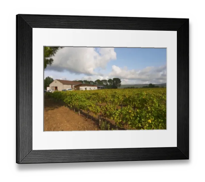 Framed Print : Chateau St Jean d Aumieres, Gignac village. Terrasses de Larzac. Languedoc. The winery building
