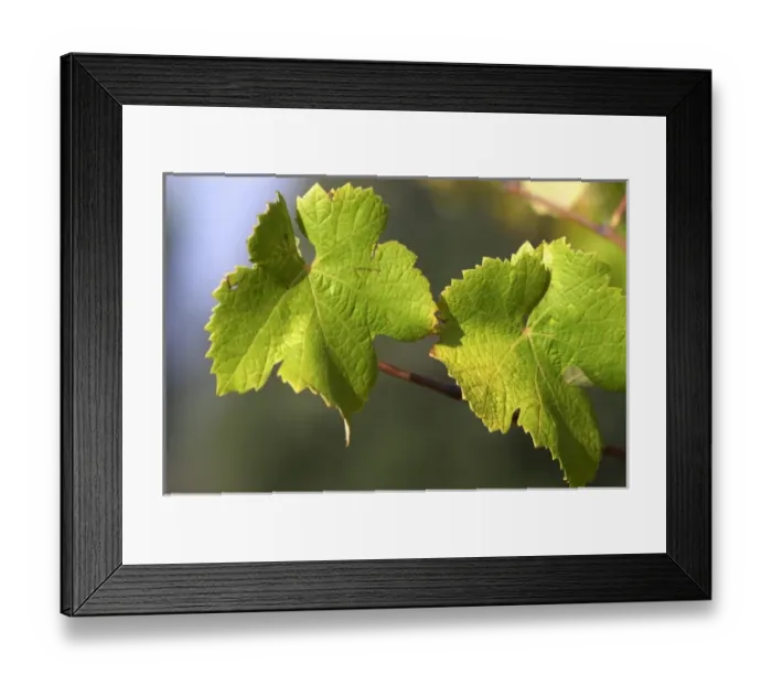Framed Print : Europe, France Framed Print : Europe, France