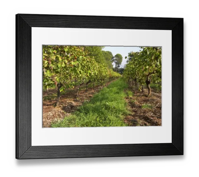Framed Print : Europe, France