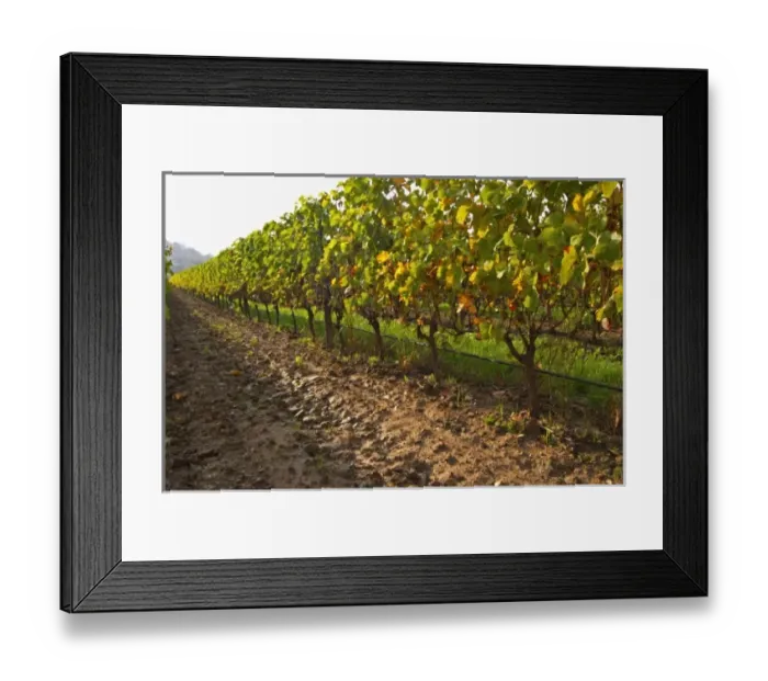 Framed Print : Europe, France Framed Print : Europe, France