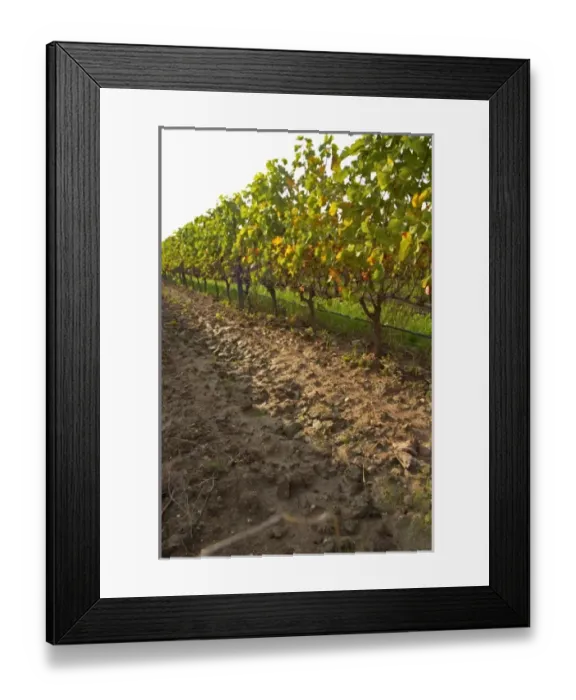 Framed Print : Europe, France Framed Print : Europe, France