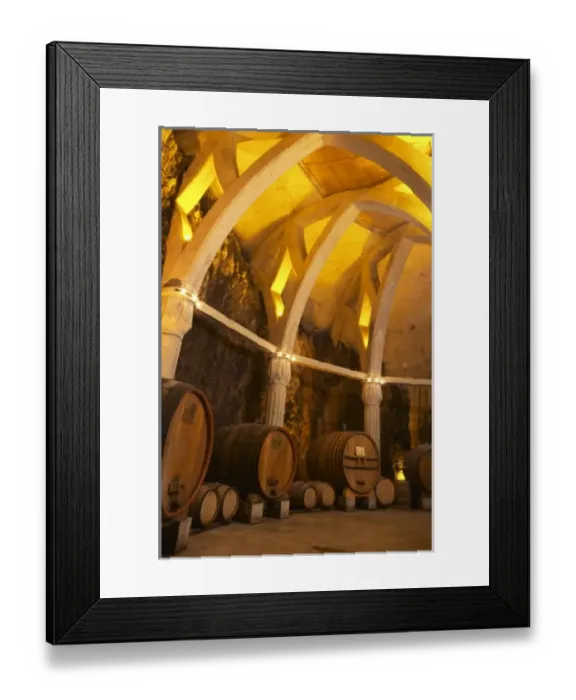 Framed Print : Chateau Romanin, Saint Remy de Provence, Bouches du Rhone, Provence, France, Europe Framed Print : Chateau Romanin, Saint Remy de Provence, Bouches du Rhone, Provence, France, Europe