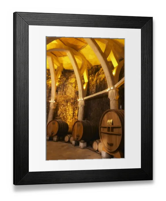 Framed Print : Chateau Romanin, Saint Remy de Provence, Bouches du Rhone, Provence, France