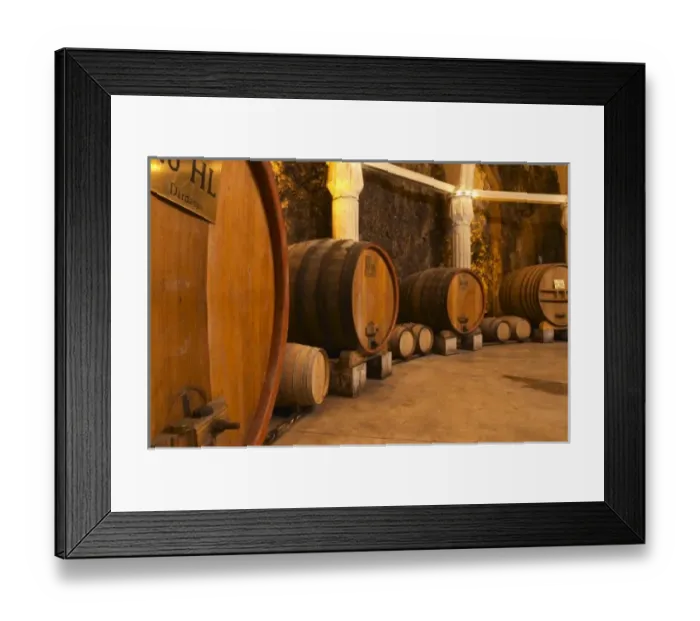 Framed Print : Chateau Romanin, Saint Remy de Provence, Bouches du Rhone, Provence, France, Europe Framed Print : Chateau Romanin, Saint Remy de Provence, Bouches du Rhone, Provence, France, Europe